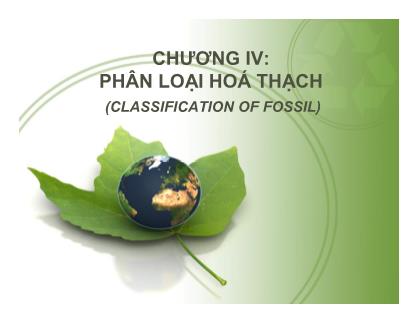 Bài giảng Cổ sinh vật học - Chương IV: Phân loại hoá thạch (Classification of fossil)