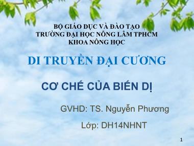 Tiểu luận Cơ chế của biến dị - Nguyễn Thị Kiều