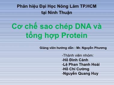 Tiểu luận Cơ chế sao chép DNA và tổng hợp Protein - Hồ Đình Cảnh