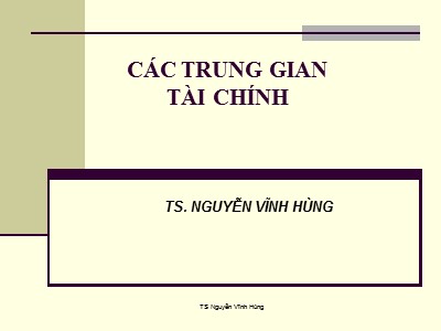 Bài giảng Các trung gian tài chính - Nguyễn Vĩnh Hùng