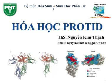 Bài giảng Hóa sinh - Chương 1: Hóa học Protid - Nguyễn Kim Thạch
