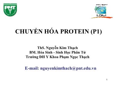Bài giảng Hóa sinh - Chương 2: Chuyển hóa Protein (Phần 1) - Nguyễn Kim Thạch