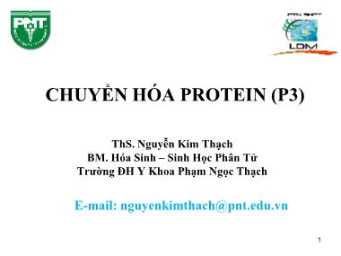 Bài giảng Hóa sinh - Chương 2: Chuyển hóa Protein (Phần 3) - Nguyễn Kim Thạch