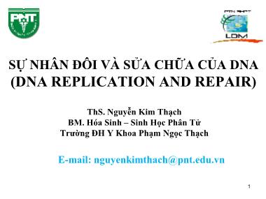 Bài giảng Hóa sinh - Chương 3: Sự nhân đôi và sửa chữa của DNA (DNA Replication and Repair) - Nguyễn Kim Thạch