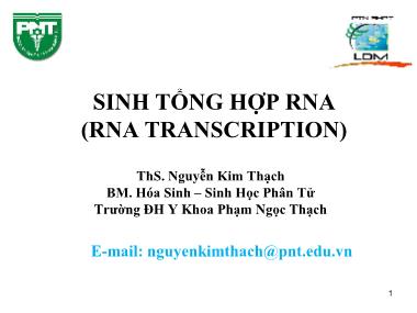 Bài giảng Hóa sinh - Chương 4: Sinh tổng hợp RNA (RNA transcription) - Nguyễn Kim Thạch