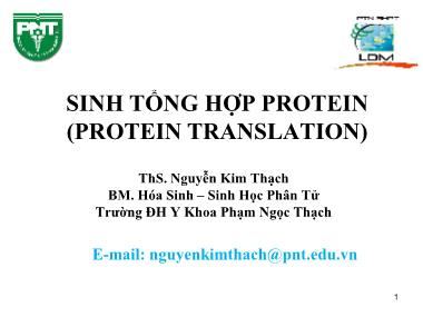 Bài giảng Hóa sinh - Chương 5: Sinh tổng hợp protein (Protein Translation) (Phần 1) - Nguyễn Kim Thạch