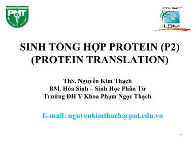 Bài giảng Hóa sinh - Chương 5: Sinh tổng hợp protein (Protein Translation) (Phần 2) - Nguyễn Kim Thạch