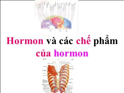 Bài giảng Hormon và các chế phẩm của hormon
