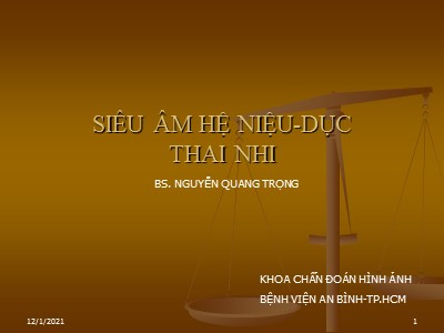 Siêu âm hệ niệu - dục thai nhi - Nguyễn Quang Trọng