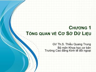 Bài giảng Cơ sở dữ liệu - Chương 1: Tổng quan về cơ sở dữ liệu - Thiều Quang Trung