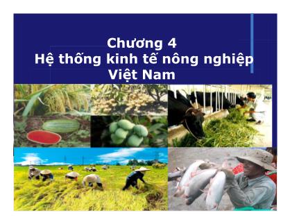 Bài giảng Kinh tế nông nghiệp - Chương 4: Hệ thống kinh tế nông nghiệp Việt Nam - Nguyễn Hà Hưng