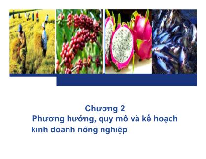 Bài giảng Quản trị kinh doanh nông nghiệp - Chương 2: Phương hướng, quy mô và kế hoạch kinh doanh nông nghiệp - Nguyễn Hà Hưng