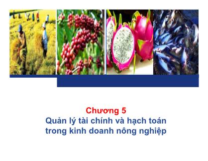 Bài giảng Quản trị kinh doanh nông nghiệp - Chương 5: Quản lý tài chính và hạch toán trong kinh doanh nông nghiệp - Nguyễn Hà Hưng