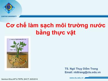 Báo cáo Cơ chế làm sạch môi trường nước bằng thực vật - Ngô Thụy Diễm Trang